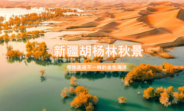 門票頁(yè)左側(cè)圖1